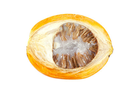 ripe acera or betel palm nut fruit