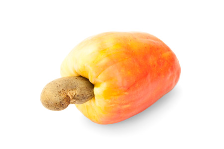 Fresh ripe Brazilian Caju Cashew Fruit with pathの写真素材