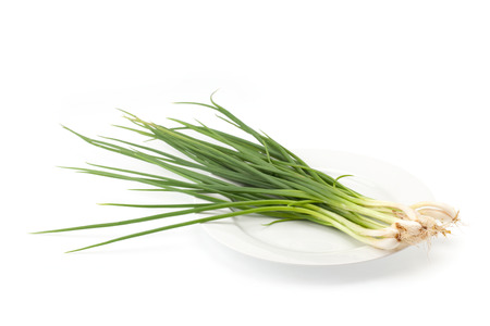 spring onion or chive isolated o white backgroundの写真素材