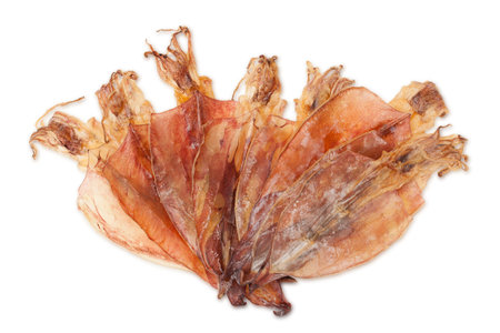 dried squid isolated on white background with path