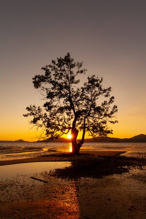 sunset on the beach and colorful sky with tree and sunstar at Takua Thung, Phangnga, Southern of Thailandの写真素材