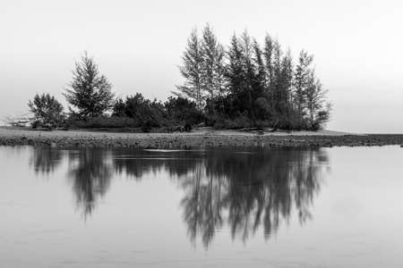 Silhouette of the woman raise her hand in the evening at Pakarang beach, Phang Nga, Thailandの写真素材