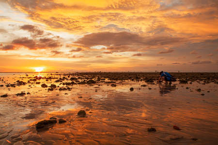 female amateur photographer Taking pictures of the sea at sunset in twilight timeの写真素材