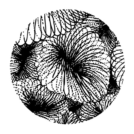 doodle design in circle shaped on white backgroundのイラスト素材