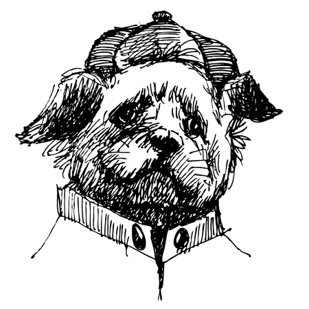 Shih tzu with shirt and hat, hand drawn vector.のイラスト素材