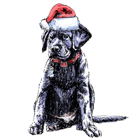 Labrador Retriever with santa claus hat hand drawn vector , use for christmas backgroundのイラスト素材