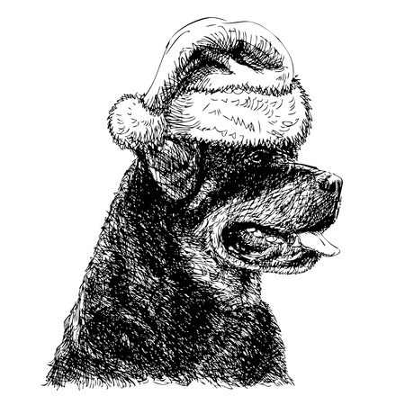 Rottweiler with santa claus hat hand drawn vector , use for christmas backgroundのイラスト素材