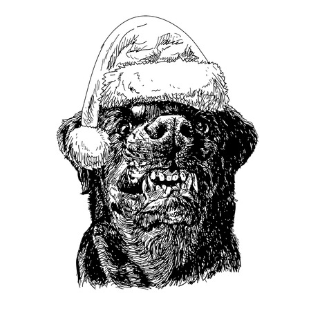 Angry Rottweiler with santa claus hat hand drawn vector , use for christmas backgroundのイラスト素材