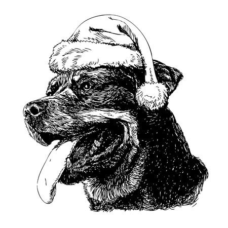 Rottweiler with santa claus hat hand drawn vector , use for christmas backgroundのイラスト素材
