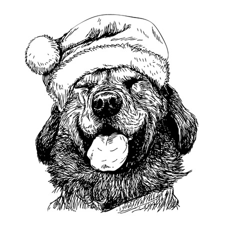 Smile Yellow Labrador Retriever with santa claus hat hand drawn vector , use for christmas backgroundのイラスト素材