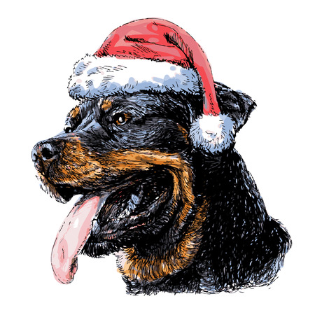 Rottweiler with santa claus hat hand drawn vector , use for christmas backgroundのイラスト素材
