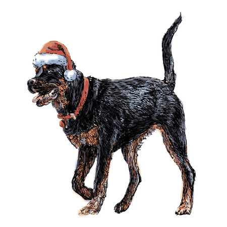 Rottweiler with santa claus hat hand drawn vector , use for christmas backgroundのイラスト素材