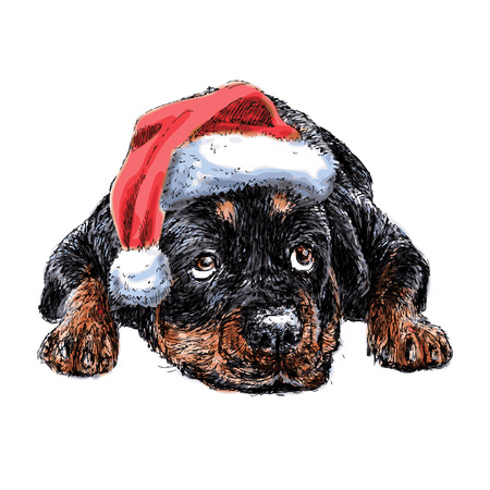 Rottweiler with santa claus hat hand drawn vector , use for christmas backgroundのイラスト素材