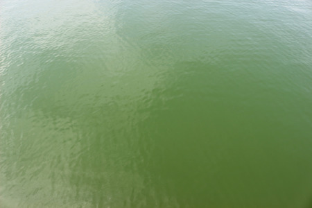 ripple surface of the water backgroundの写真素材
