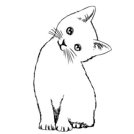 freehand sketch illustration of cat, kitten , outline, doodle hand drawnのイラスト素材
