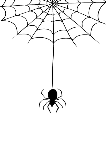 freehand sketch illustration of spider and web, doodle hand drawnのイラスト素材
