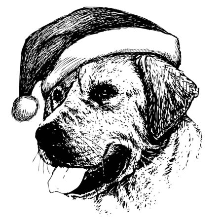 freehand sketch illustration of Labrador Retriever dog with christmas santa hat, doodle hand drawn, christmas petのイラスト素材