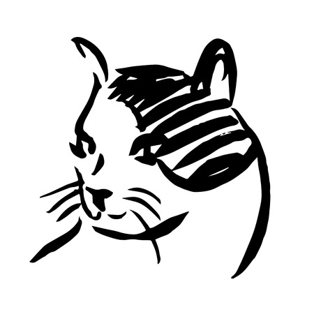 freehand sketch illustration of cat, kitten doodle hand drawnのイラスト素材