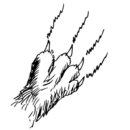 freehand sketch illustration of cat claw doodle hand drawnのイラスト素材