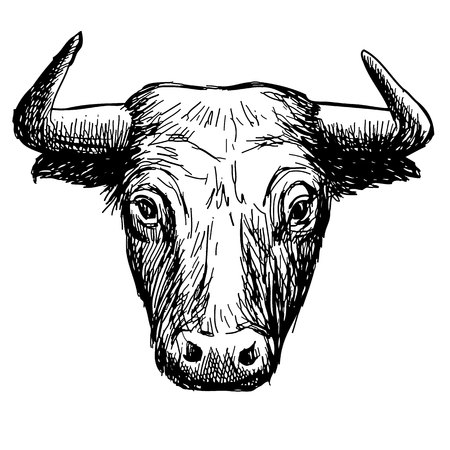 Freehand sketch illustration of bull head,  doodle hand drawn.のイラスト素材