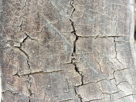 It is an old crack wooden plank used for abstract or texture background.の素材