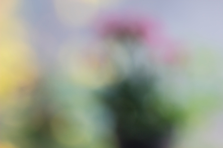 Abstract lights blurred background. Intentionally blurred editing post productionの写真素材