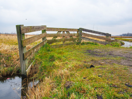 Zaanse Schans ,countryside in the Dutch town of Zaandam, near Amsterdam,  The Netherlands.の写真素材