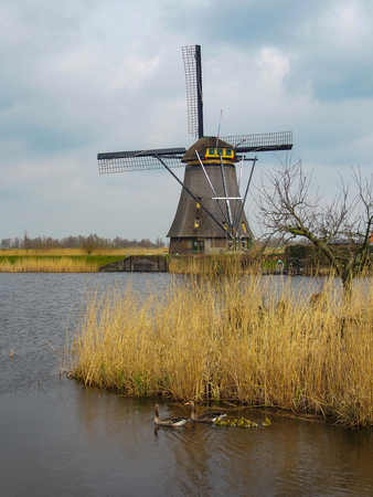 Netherlands rural landscape with windmills and canal at famous tourist site Kinderdijk in Hollandの写真素材