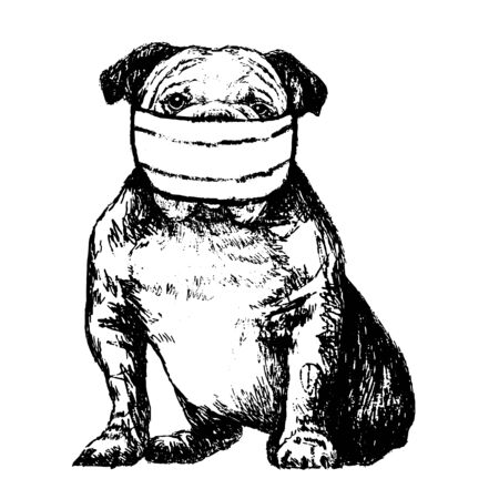 freehand sketch illustration of Bulldog with mask doodle hand drawnのイラスト素材