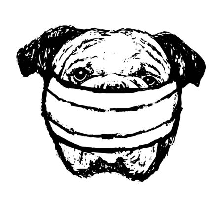 freehand sketch illustration of Bulldog with mask doodle hand drawnのイラスト素材