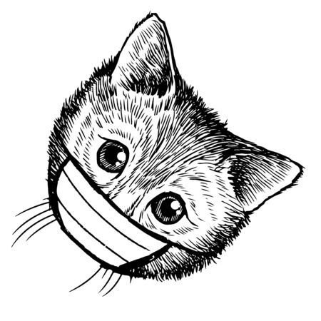 illustration of cat with mask hand drawn isolated on white backgroundのイラスト素材
