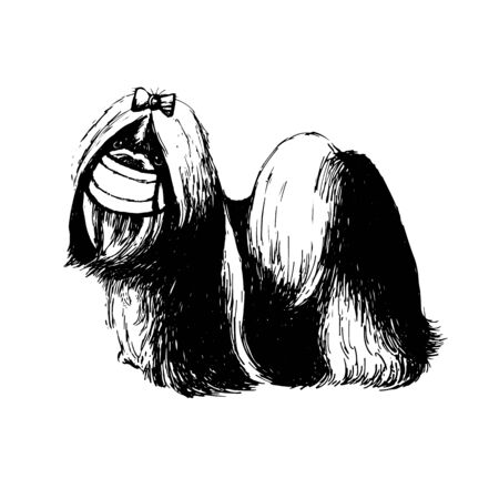 freehand sketch illustration of Shih Tzu dog with mask doodle hand drawnのイラスト素材