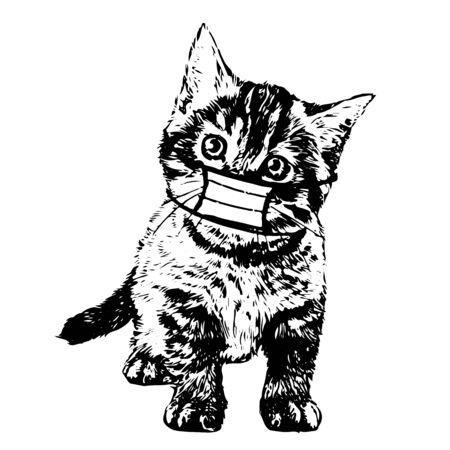illustration of cat with mask hand drawn isolated on white backgroundのイラスト素材