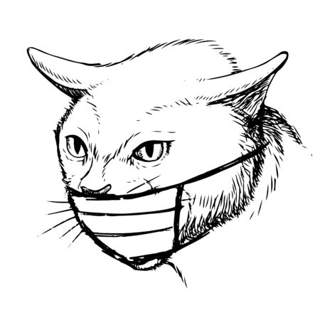 illustration of cat with mask hand drawn isolated on white backgroundのイラスト素材