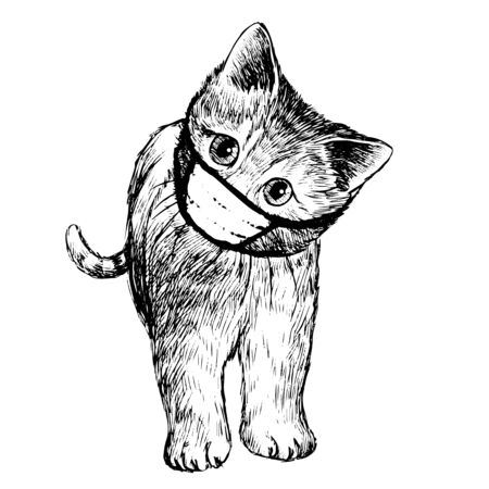 illustration of cat with mask hand drawn isolated on white backgroundのイラスト素材