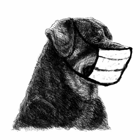 freehand sketch illustration of Rottweiler dog with mask doodle hand drawnのイラスト素材