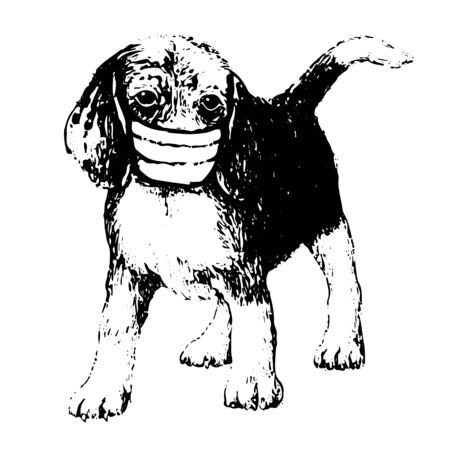 freehand sketch illustration of Beagle dog with mask doodle hand drawnのイラスト素材