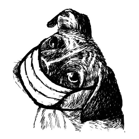 freehand sketch illustration of Boxer dog with mask doodle hand drawnのイラスト素材