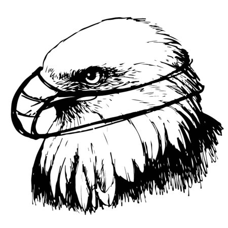 Black and white eagle with mask hand drawn on white backgroundのイラスト素材