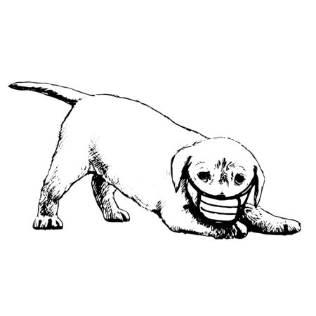 freehand sketch illustration of Labrador Retriever dog with mask doodle hand drawnのイラスト素材