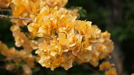 Refreshの写真素材