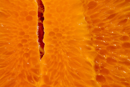 Orange background from slice of an orange fruit texture.