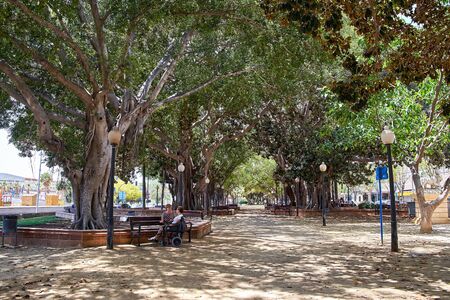 Alicante, Spain - June 30, 2016: Alley ficuses in Canalejas Park. Continuation The promenade of Explanada of Spain in Alicante.のeditorial素材