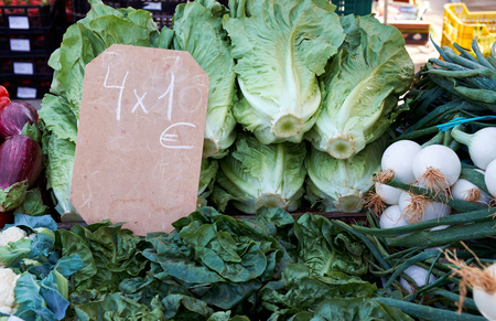 Various vegetables and fruits on the Sunday market in Spain, Mercadillo de Campo de Guardamar. Cabbage, white onion, eggplant and greens.の写真素材