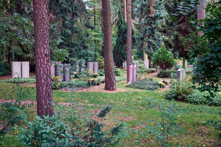 Cemetery in Dresden, Saxony, Germany.のeditorial素材