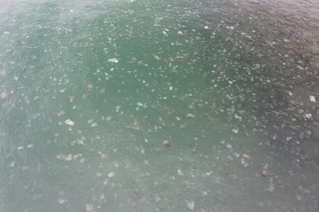 Jellyfish at Khao Laem Yaの写真素材