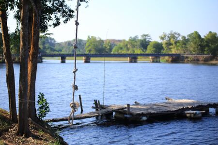 Grass and riverの写真素材