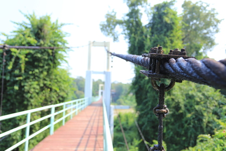 Bridge and nutの写真素材
