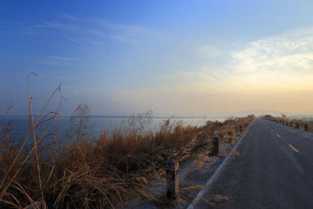 Road and grassの写真素材