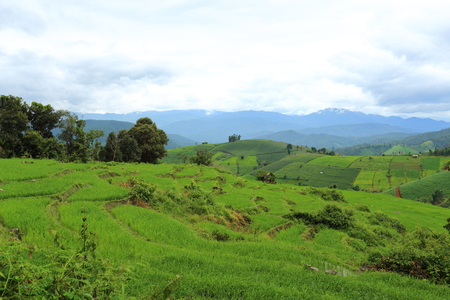 Rice terraces in Mae Chaem at Thailandの写真素材